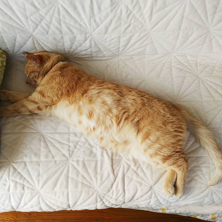 3b767624 f484 4745 8f88 e19c9e520b0b 1623818674256