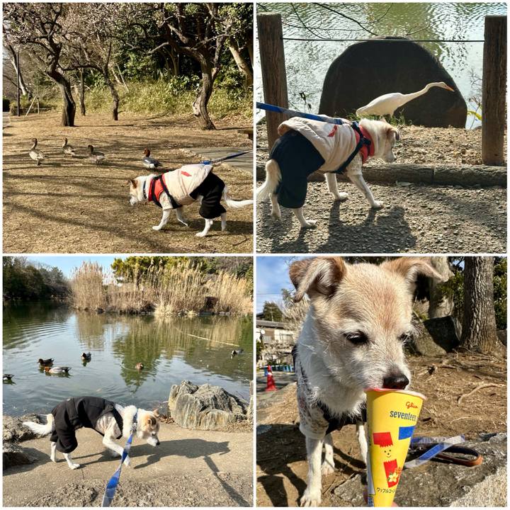 3b767d58 74eb 4a63 a7a6 0d53f16f3c8f 1770369919441