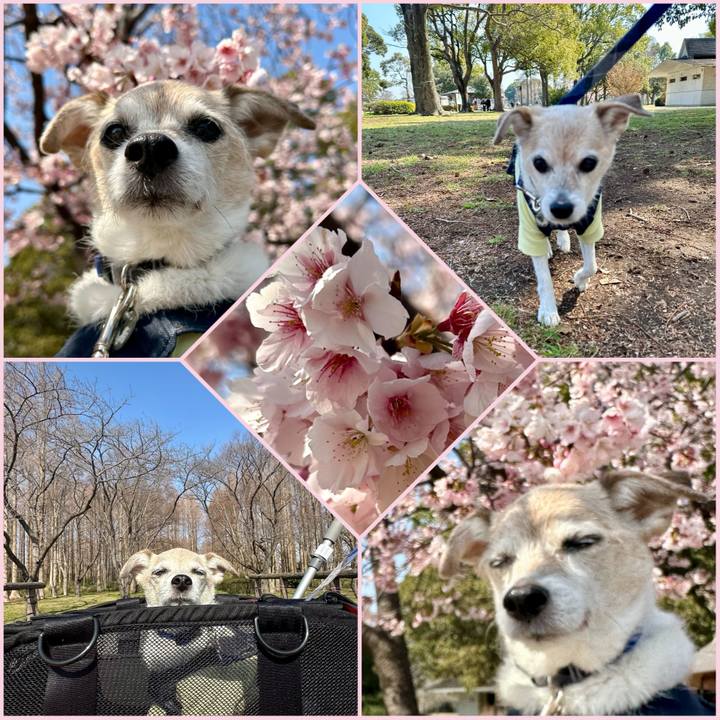 3b76bf7b abdd 4b29 8958 42a2364f0b98 1742641204359