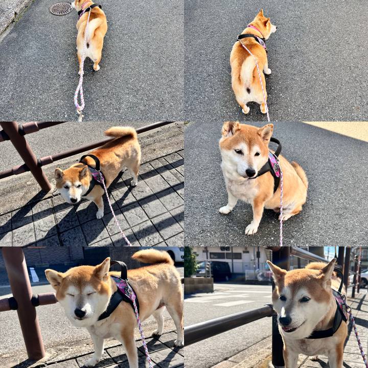 3b7730b0 268f 43d5 b5dd cfc6409cfbcd 1731126106823