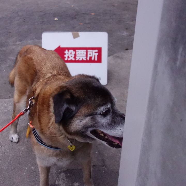 3b773a92 0e1b 4aa6 855f 844933be3fd2 1563705880285