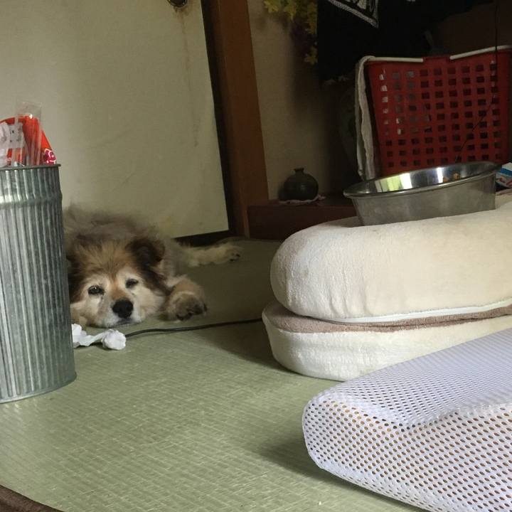 3b773add 8f8f 4792 8aa0 7bd734eabc9a 1566269730057