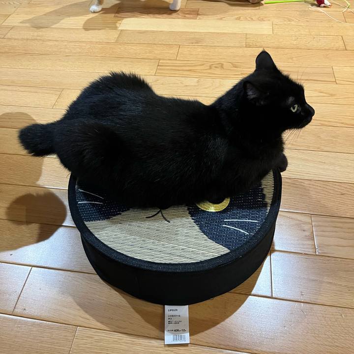 3b778d56 7b8c 4730 92f9 006e83780cd8 1722165111640