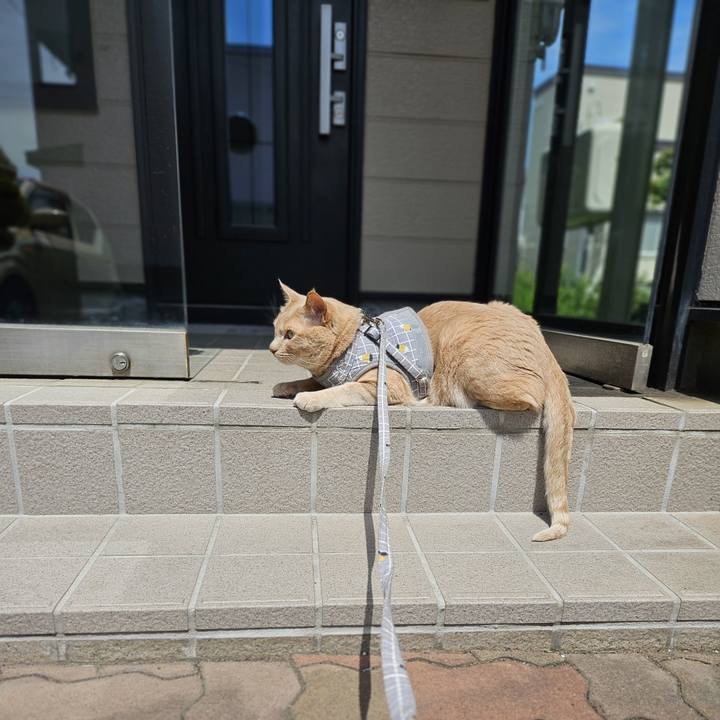 3b779cf2 9993 49e9 bc69 59e178ba7015 1716688875949