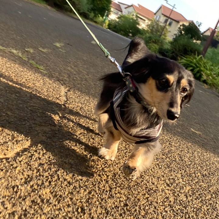 3b77d67c e538 4834 880c 78431c380ab8 1756422941603