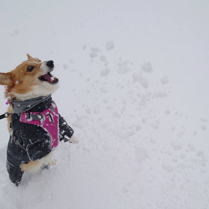 3b77d681 c01e 4f10 a5a4 3b25b665924a 1767248006377