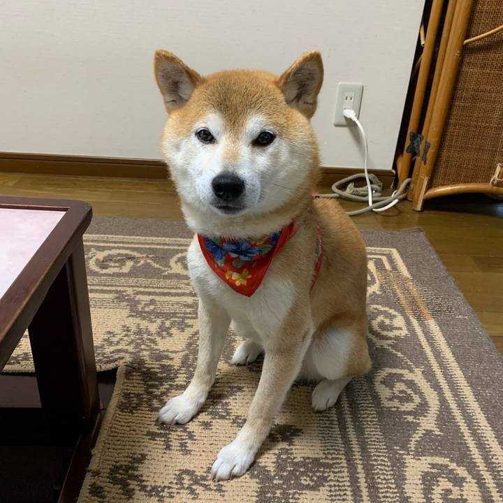 3b77f167 5070 461b b4bd 318782473920 1625223783521