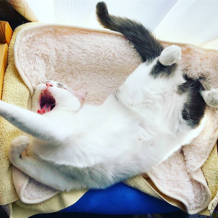 3b77f461 2250 41eb 8300 47b1d16daa0f 1550808150607