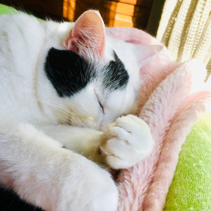 3b781bc3 5895 4669 bccb 6d71c8507553 1556833369647