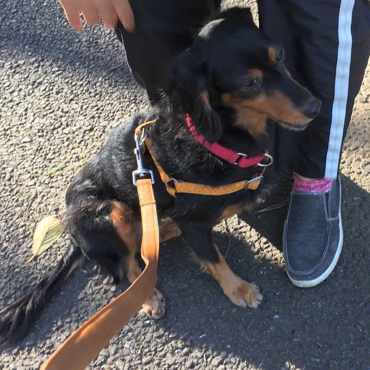 3b781c0f db44 4d31 96a0 a8df98b58e61 1509926823888