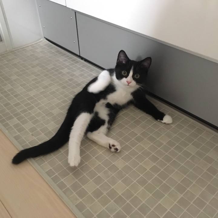 3b787b8f 9e92 43b8 8a7e 188d0f8fadf7 1529392501634