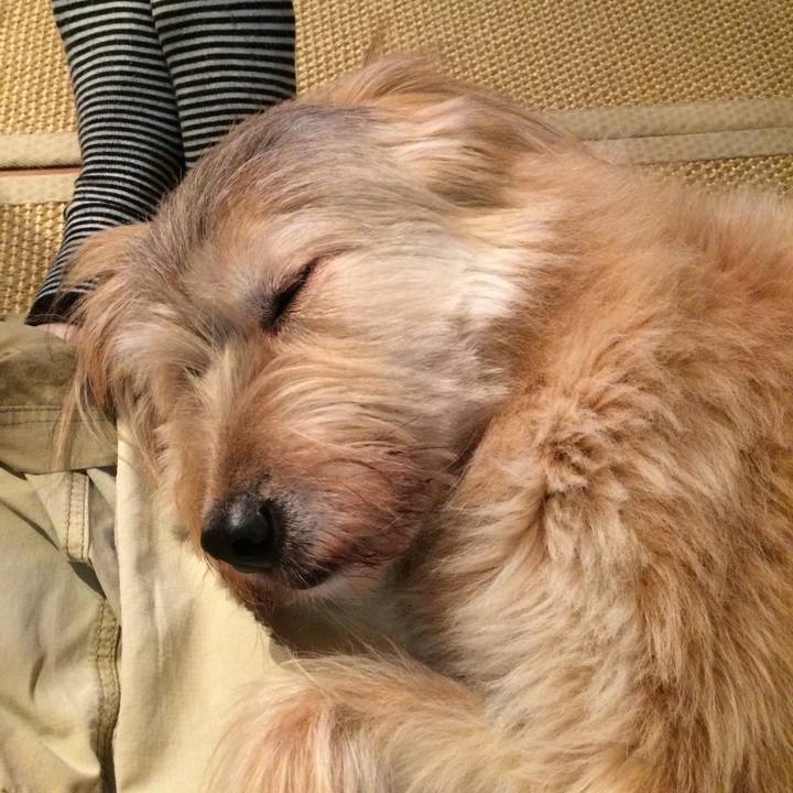 3b788dec 141a 4076 8ede 2551530800d9 1529895848711