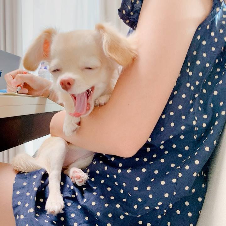 3b78a0f2 0857 4251 a860 59f51bcdf32c 1597370900855