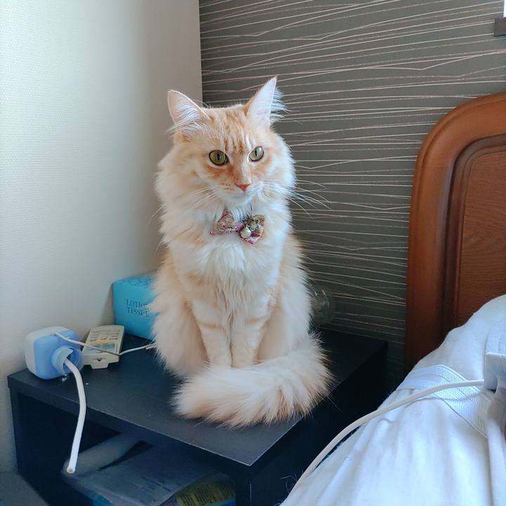 3b78b1e1 025e 4571 95be 2189fc9aaeb8 1697767078276