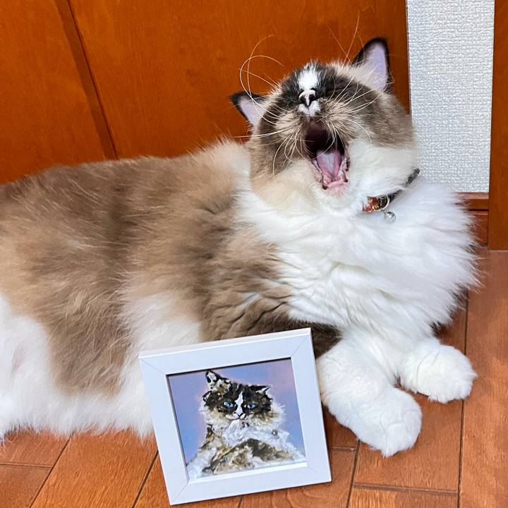 3b78f356 b208 46aa 9088 cb0c4f8370db 1669533361309