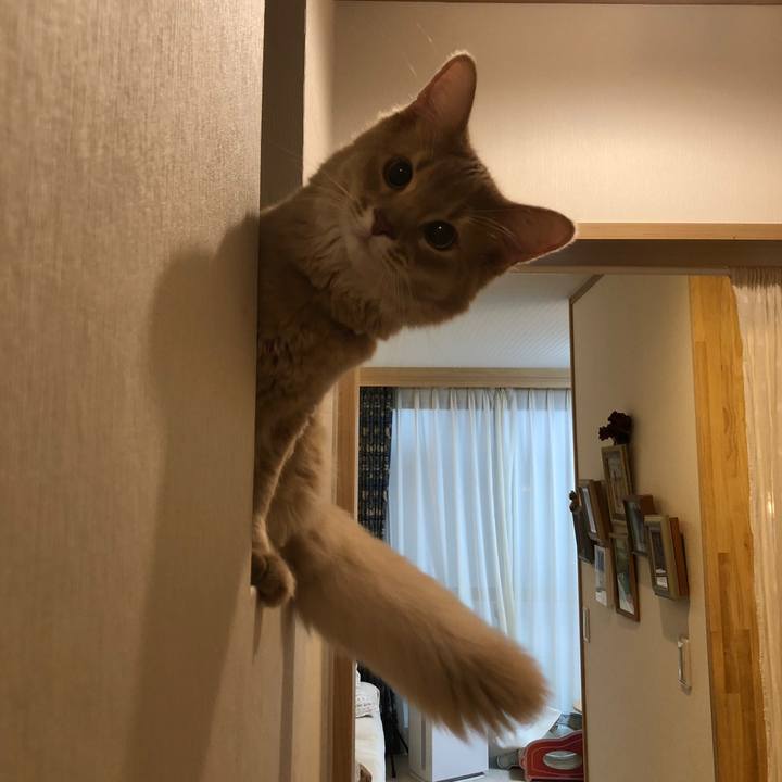 3b78f604 9839 48ee 9a9d 254ee6c2df2a 1558423456254