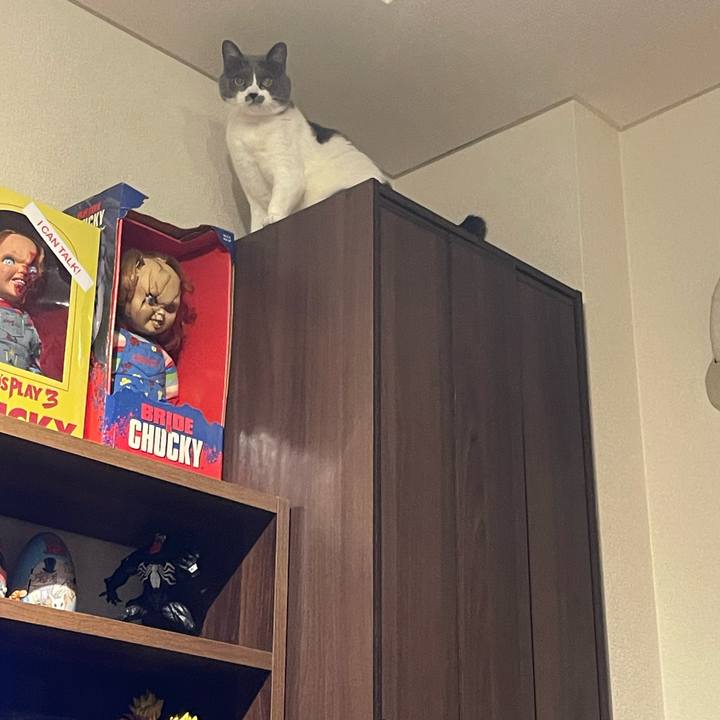 3b79498c 4363 4f5c 9ca1 c600bc9d9e0f 1680960172221