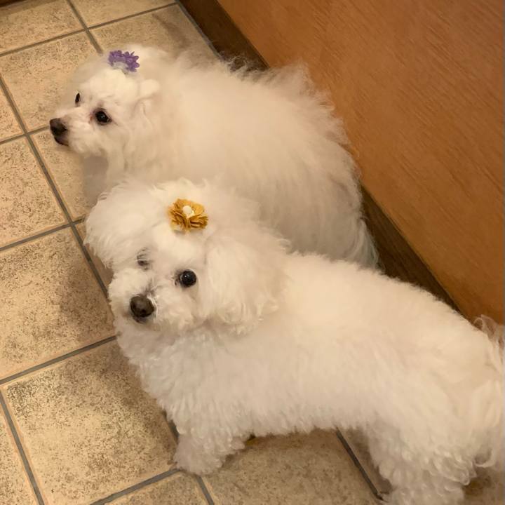 3b796231 3a60 45fa 9483 2ba018d550ea 1644709383995