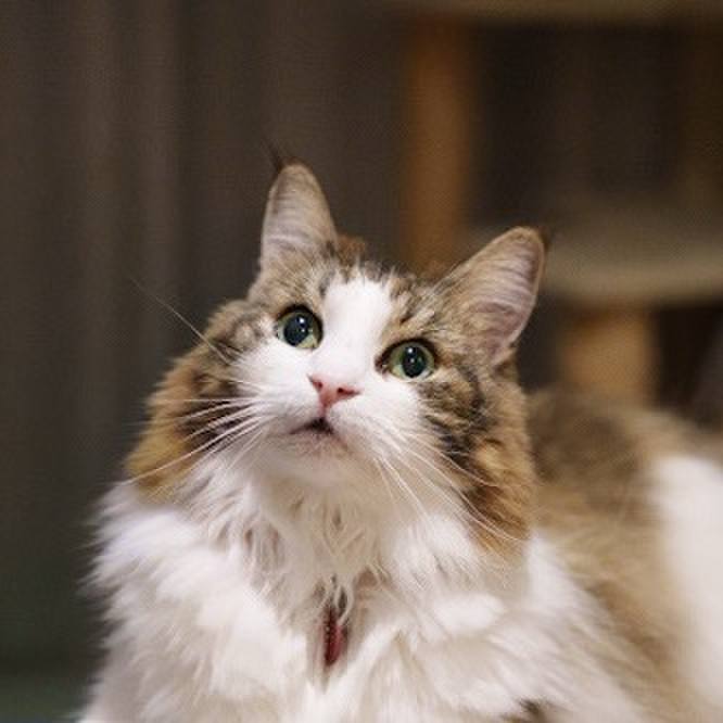 3b79756b 8099 4c22 89c1 f32f335277a7 1759196184942