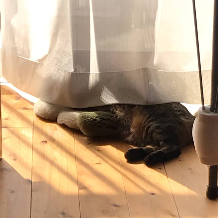 3b79851c 45fa 4315 8591 906ca963395f 1613875239421