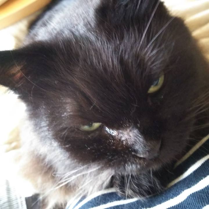 3b798df9 7ac6 4e6e a4c6 907a90f20628 1570851113237