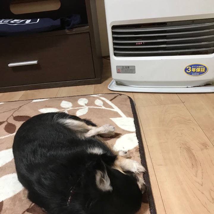 3b7a15bd c7af 4448 ac31 10bfc041a6f5 1513218339395