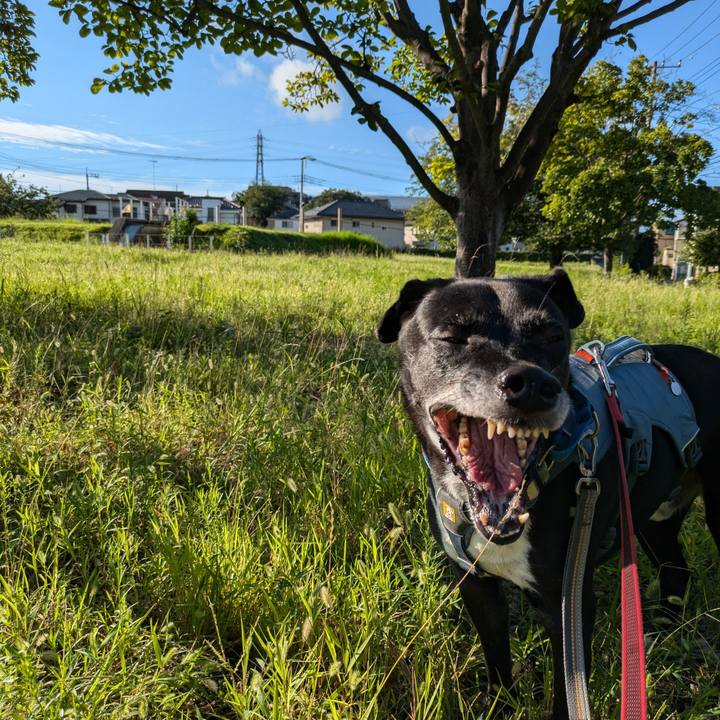 3b7a1b64 27e9 49a2 a43b 9fd6b83da363 1724628082163