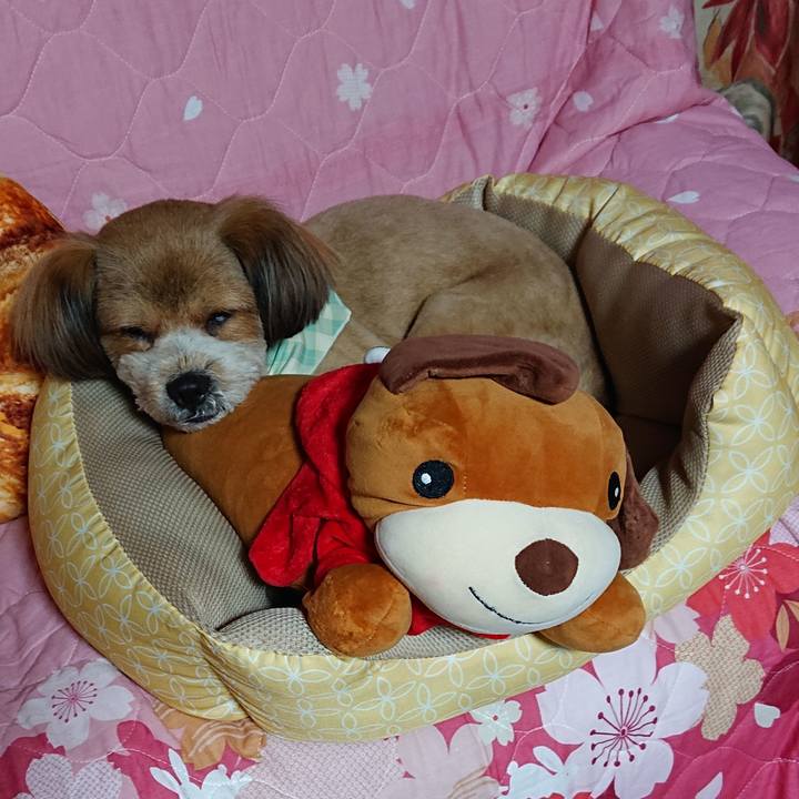 3b7ac240 fcd7 4e17 8c30 cb997741b981 1557407527521