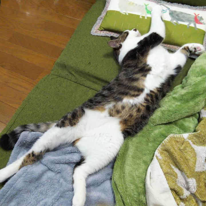 3b7ad186 4cf1 4a91 beef 3d3ec9f83c56 1651801413700