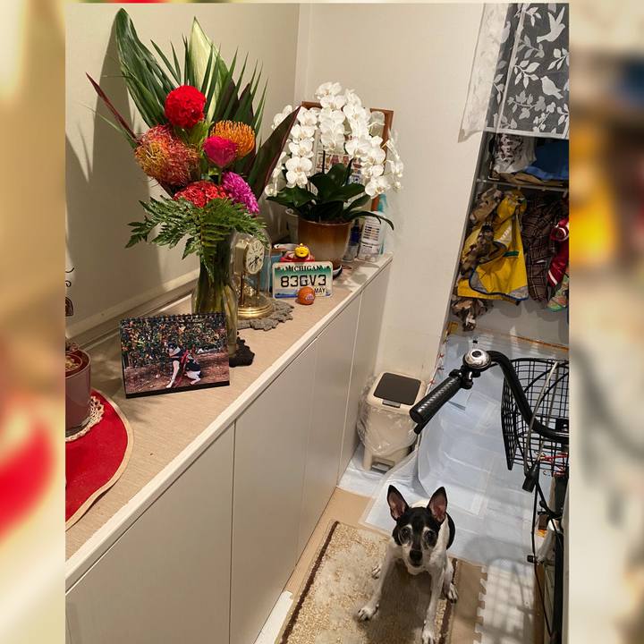 3b7ad853 93d3 4a66 a460 5f2d6599831a 1633771003730