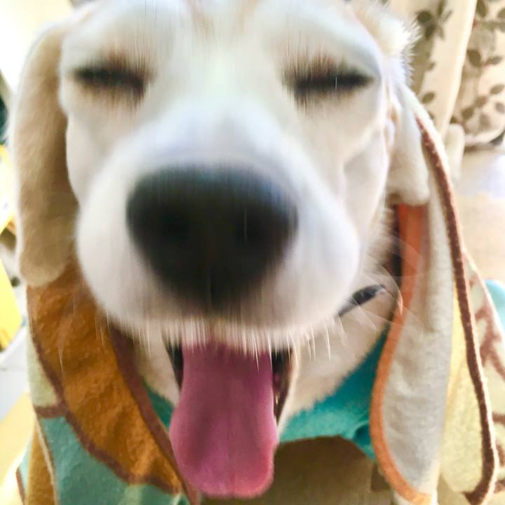 3b7adc04 4196 4af9 a5b8 9cf9277e8b04 1764228027991