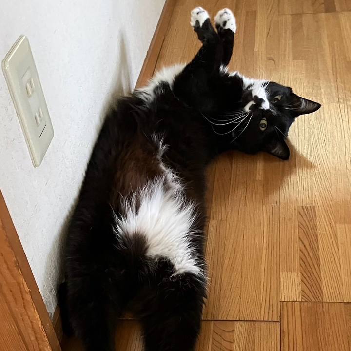 3b7ae1a4 f18a 429c b4a9 09f170d7ad19 1723087939857