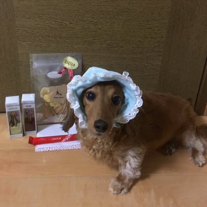 3b7ae6d0 52a1 4cb7 a724 6639c0bcf3ad 1519380801568