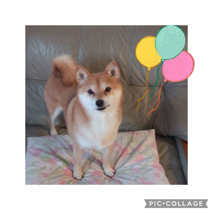 3b7af932 f03b 4429 affc 63f7d015a8ea 1748083686701