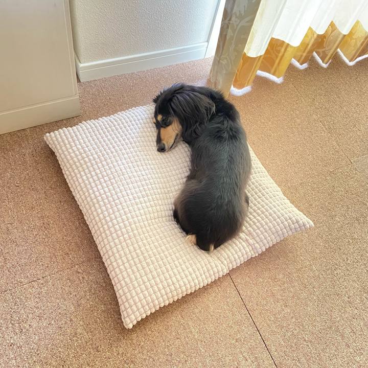 3b7b491d 9cbc 4ba0 b11b 1a64caf8325c 1760403159267