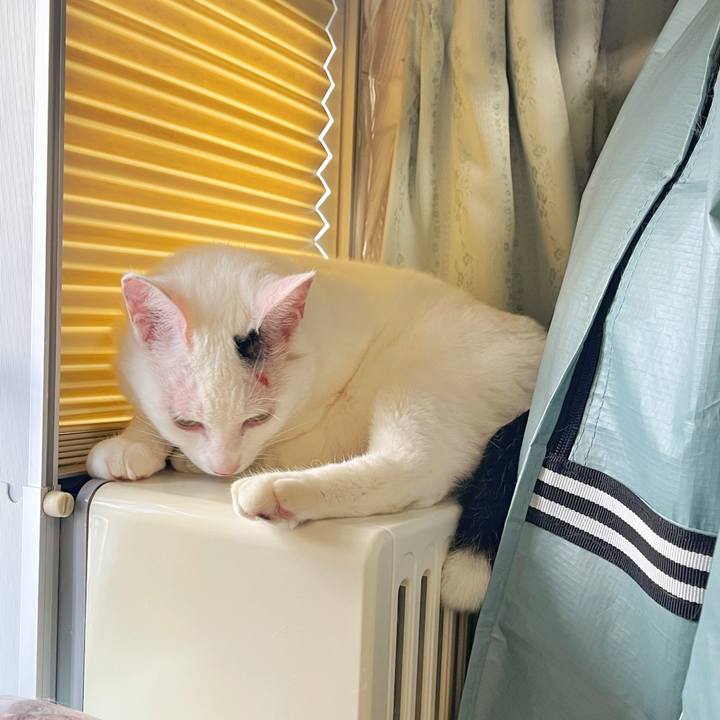 3b7b4f40 4e2d 42c6 b269 eb06f2ba4c70 1752793005283