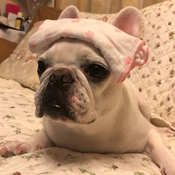 3b7b6924 b4f6 4f65 9b00 a763a9e0019b 1599994709236