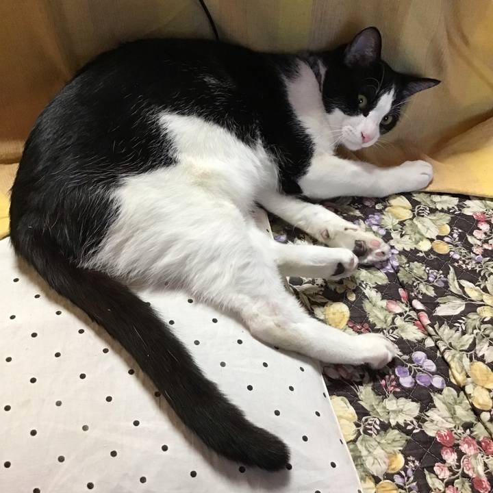 3b7b7d7d f48a 4d0c bf5d 77a563ec1f9c 1640417936985