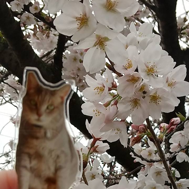 3b7b81d9 c080 4a6a beeb 9a2d31548b3f 1744066977468