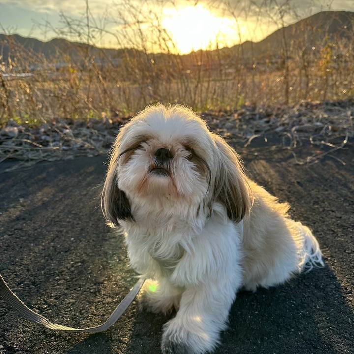 3b7ba380 f544 4777 b903 e153c4c67ab0 1709030309296