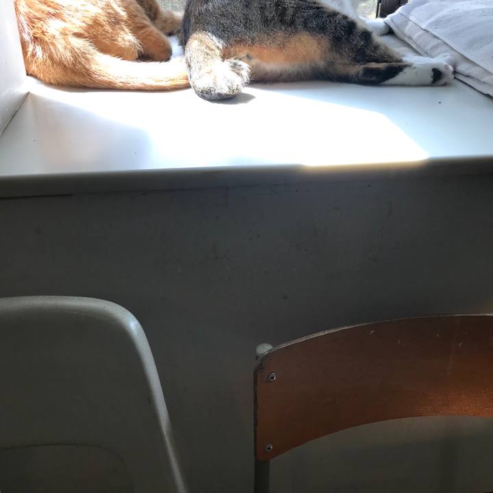 3b7bd419 53a0 42e2 a4af 24b3f21e94b6 1526979542728