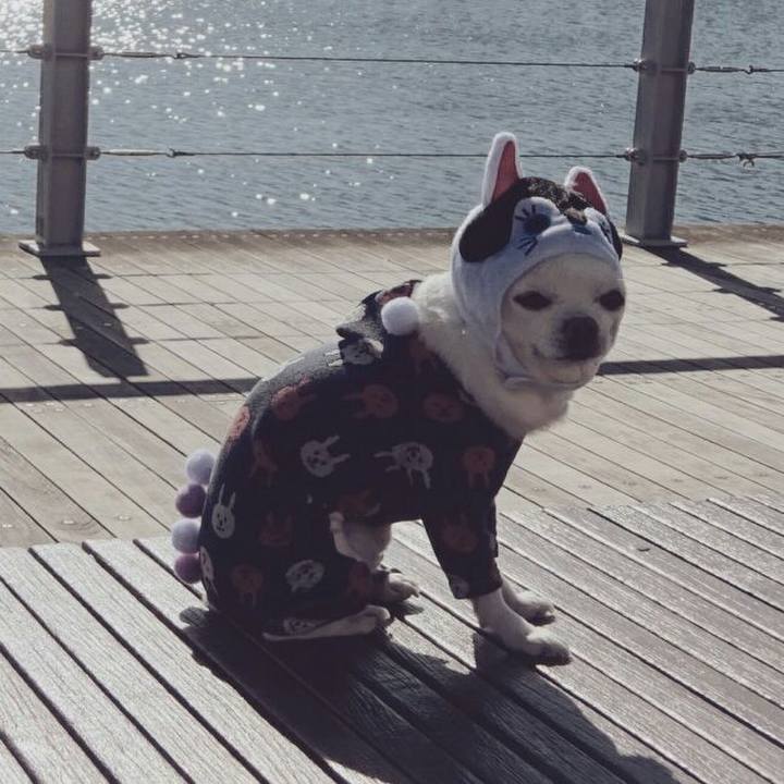 3b7bd54e 8eeb 4a0c a127 f5fcf13f9ef4 1509764427480