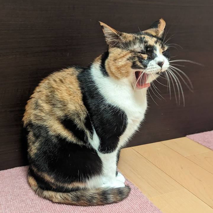 3b7bed4e ff2c 46b5 bca0 f59539f063ae 1711425549507