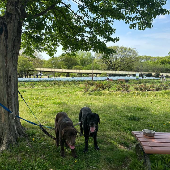 3b7c2f4e 2182 4f01 8d09 b2eb0f354635 1776687015315