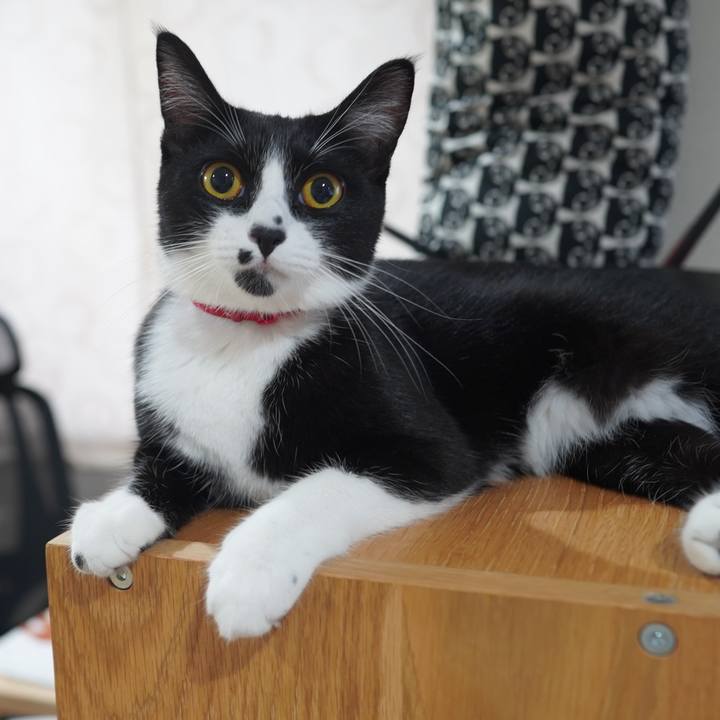 3b7c42bd e24c 47da 9945 42a292715435 1600214059212