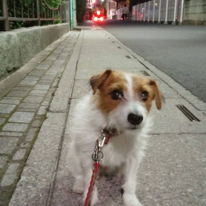 3b7c48f9 e1a5 4653 a02e c00a31ee91c3 1536746235351