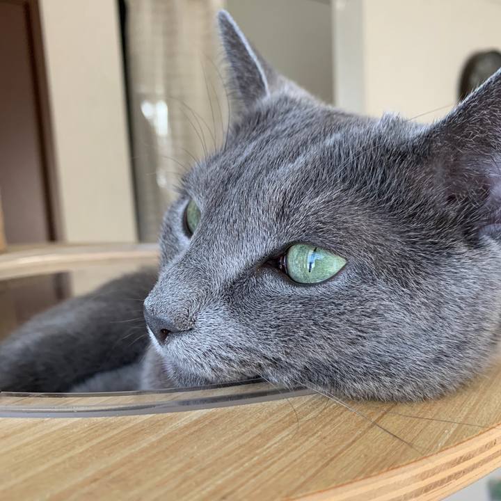 3b7c53a2 5739 4a88 a696 1d8685f44705 1658547008521