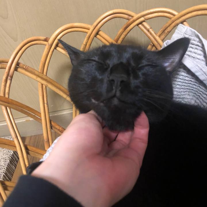 3b7c5d48 a37f 4233 89c6 8cf6f4053cbf 1630677269505