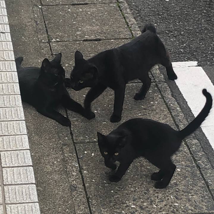 3b7c5f87 a9f3 4ddb 8a61 ab2bc1a28d9b 1630069408831