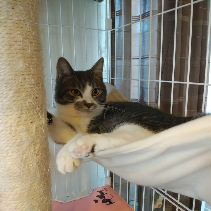 3b7cb98c 2304 434b 820f 3dc0accc99bb 1577573357675